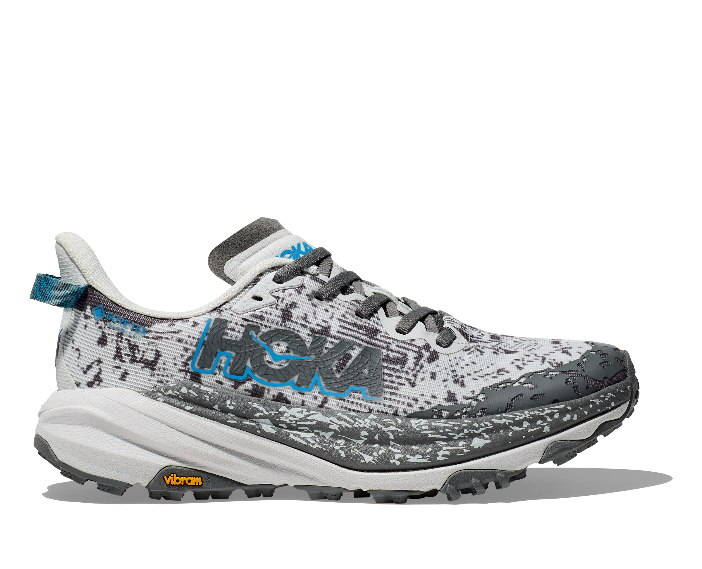 cosmic grey/asteroid Speedgoat 6 GTX W