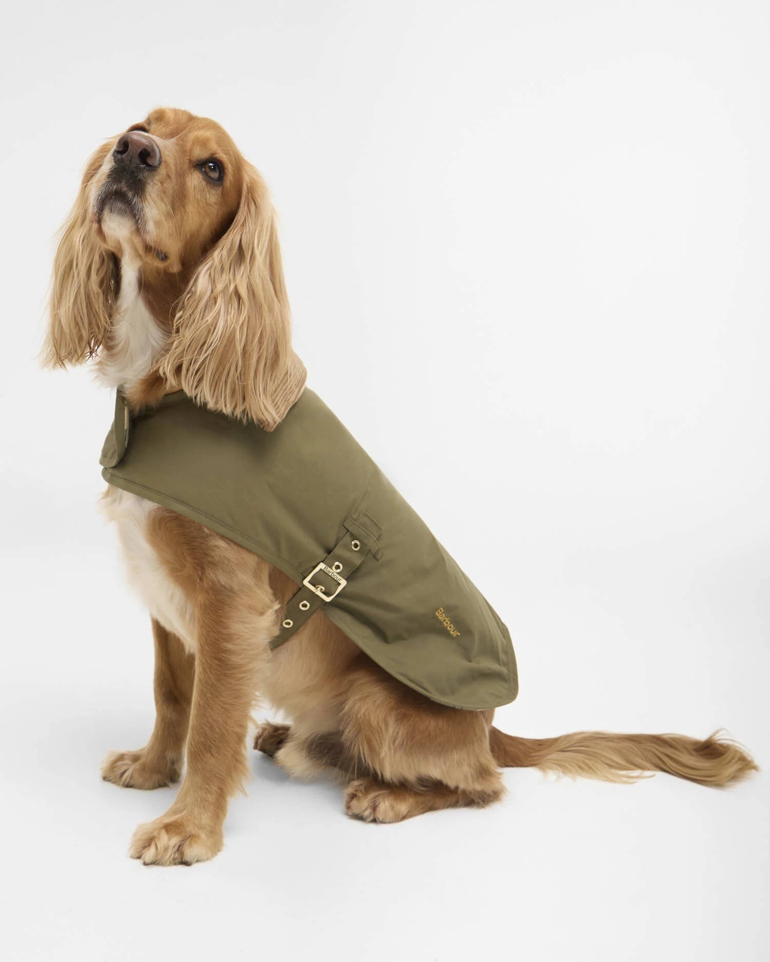 Transport Dog Coat