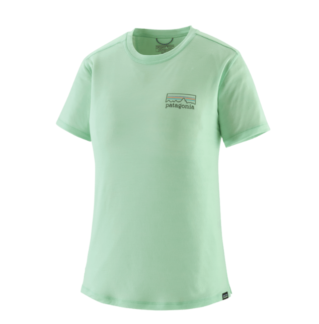 fitz roy strata/rinsed green Capilene Cool Merino Graphic Shirt Wmn