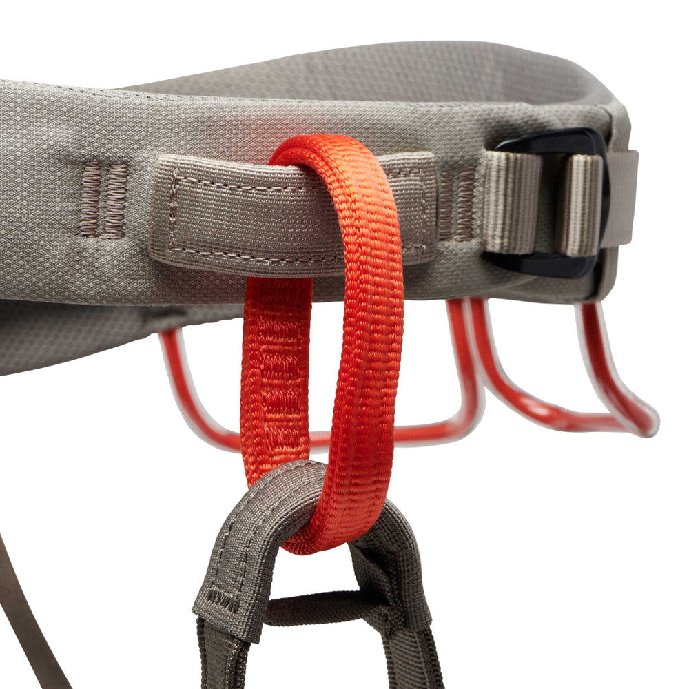 Momentum Harness M