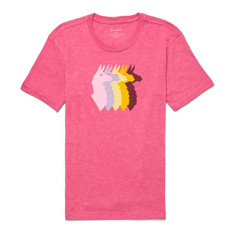Llama Sequence Organ T-Shirt W