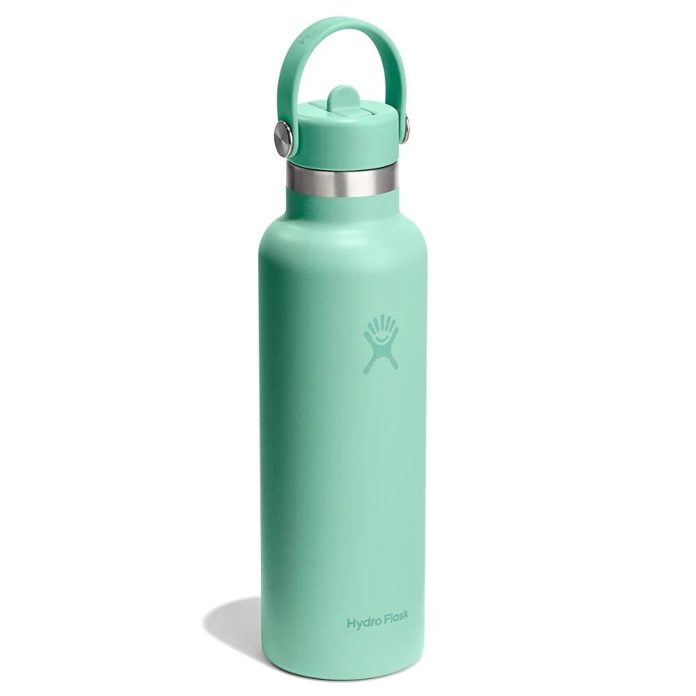 21 Standard Mouth Flex Straw Cap