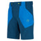 Scout Short M